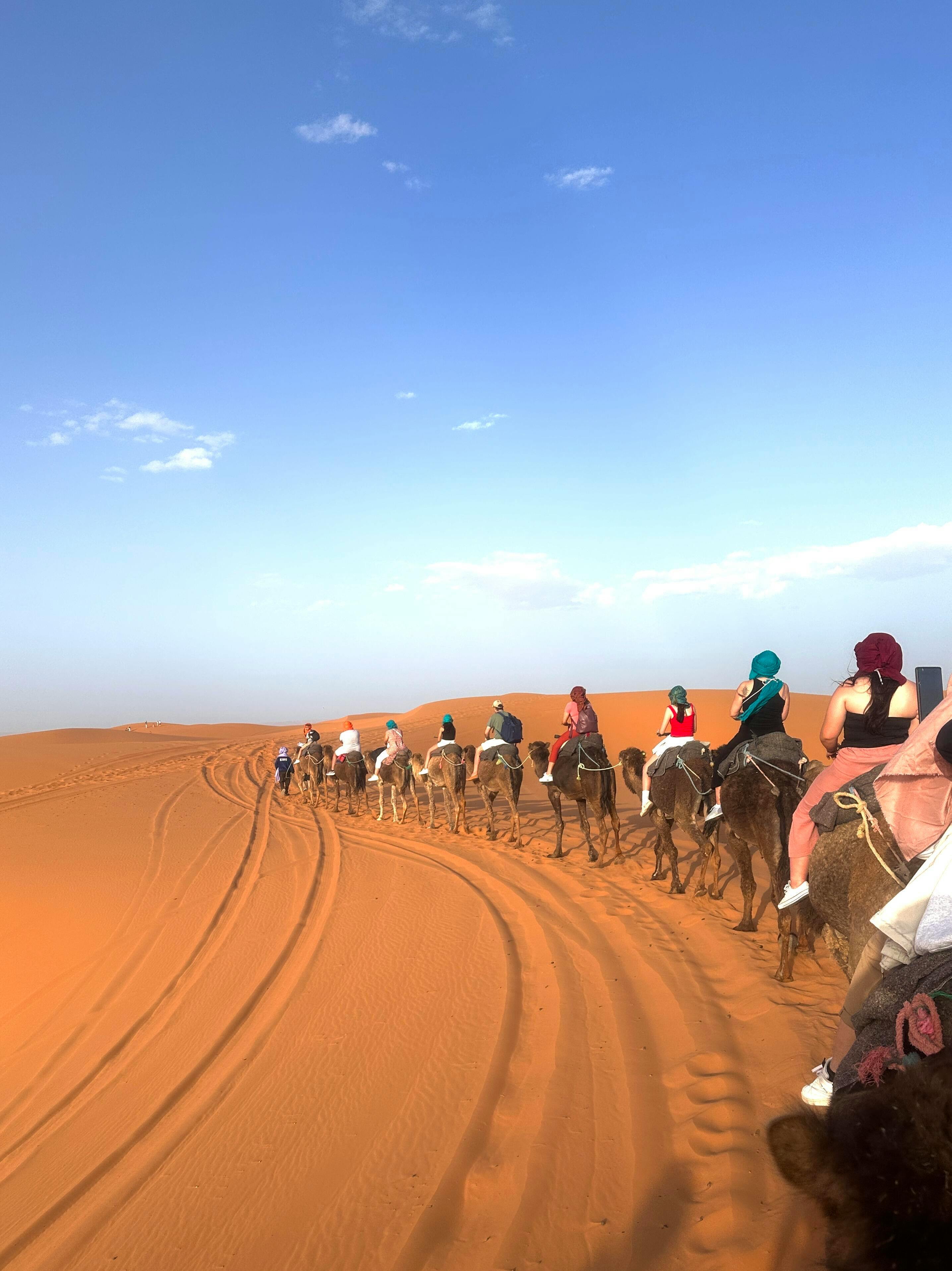 Camel Trekking