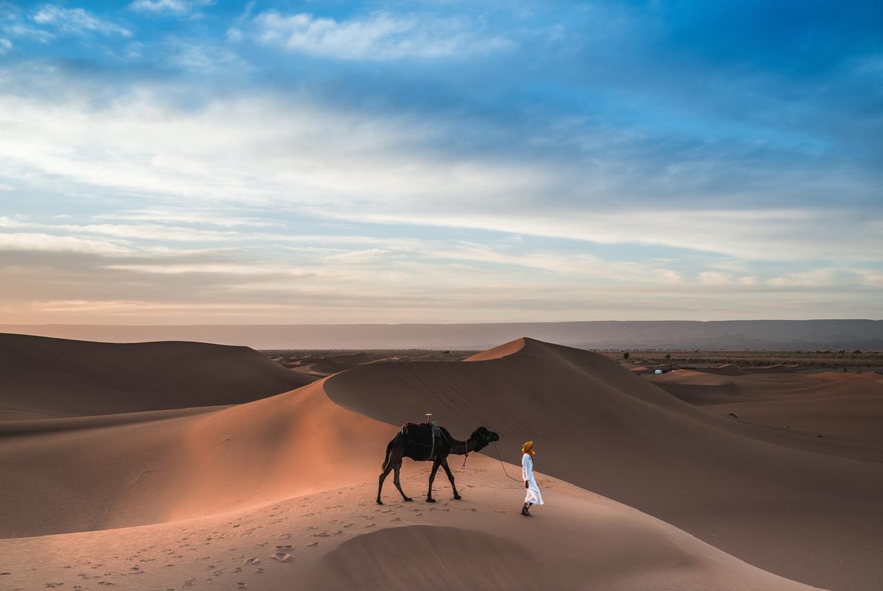 Sahara Activities