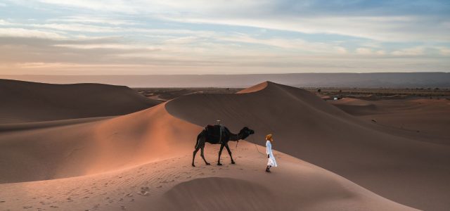 original desert camp